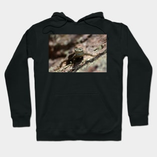 Stand Your Ground Hoodie